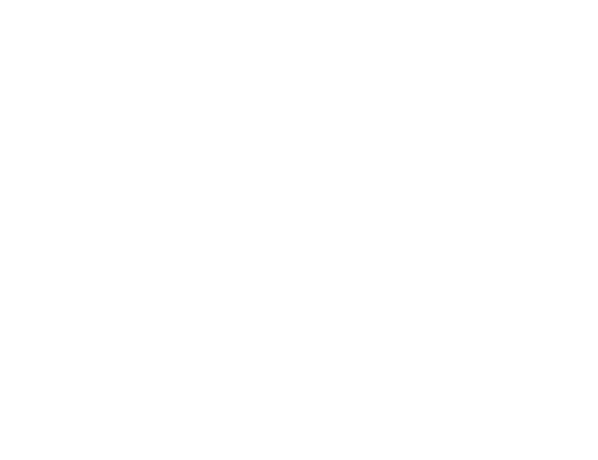 Andes Salud Chillán