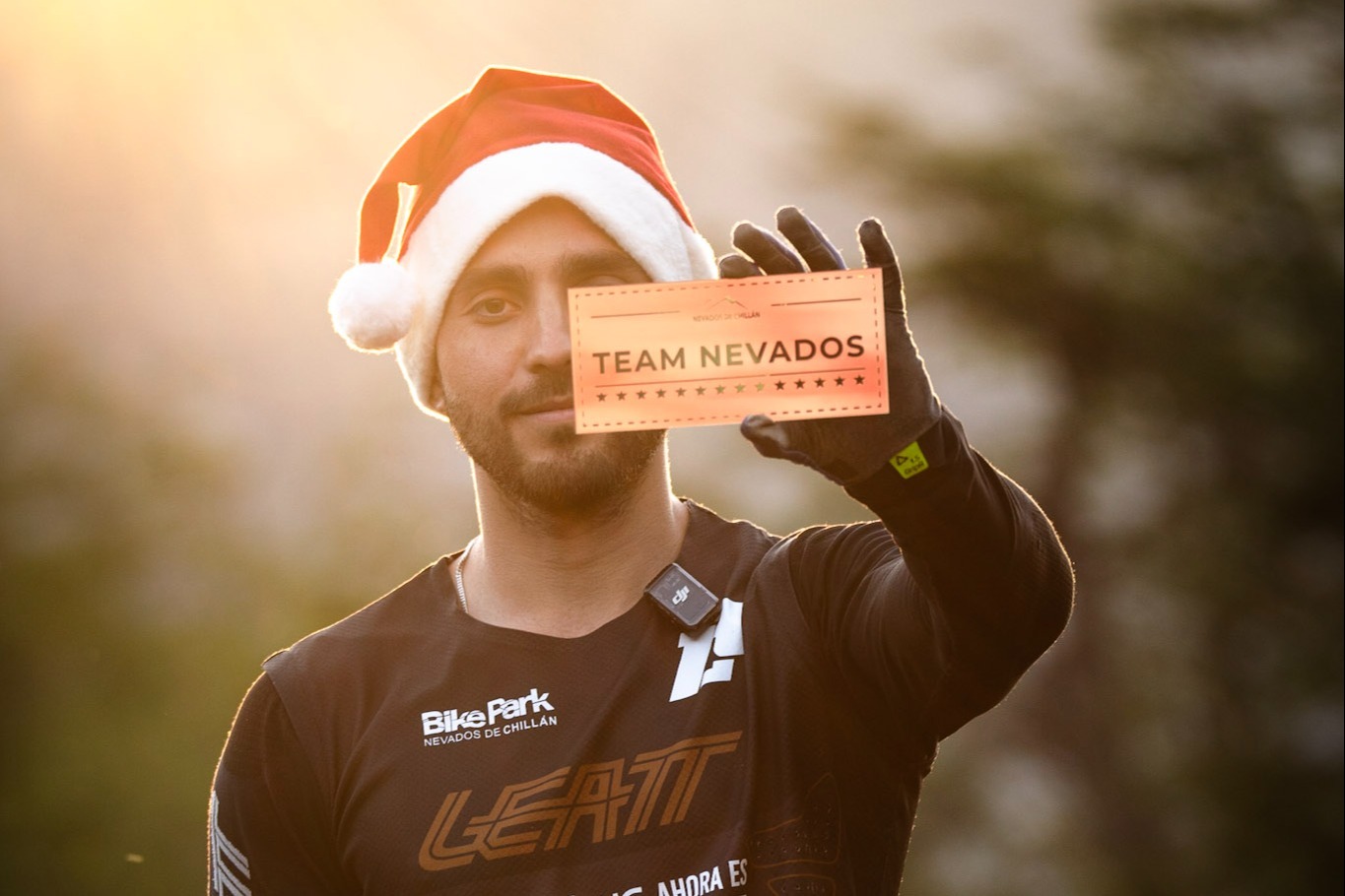 FESTIVIDADES FIN DE AÑO